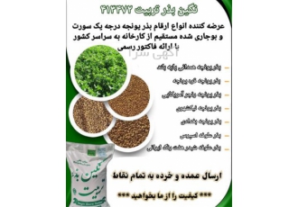 فروش بذر یونجه درجه یک ، بذر یونجه نیکشهری