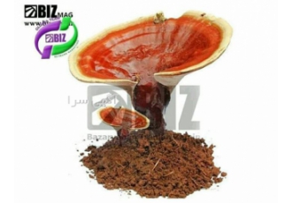 عرضه و فروش گانودرما
