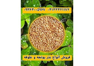 قیمت بذر یونجه در شرکت نگین بذر زرین ۱۷۵ در هفت چشمه نازلترین قیمت بذر