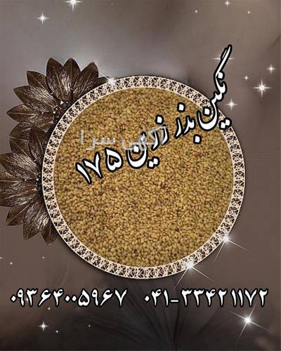 آگهی های بذر و نهال - دورود