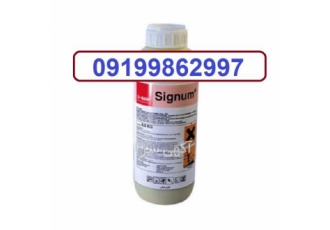 قارچ کش سیگنوم کمک کننده به سیستم دفاعی گیاه در اهواز سیگنوم قارچکشی