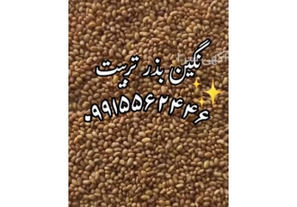 فروش بذر یونجه و بذر علوفه برای تمام نقاط