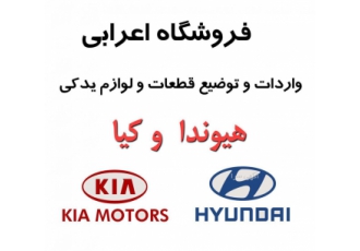 لوازم هیوندا و کیا(فروشگاه اعرابی)