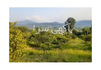 زمین باغی با قابلیت ساخت در بابل با سلام زمین باغی به مساحت3500 متر