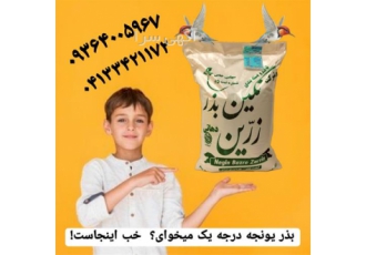 بذر رنجر فروش بذر یونجه قیمت انواع بذر یونجه در اهواز مجموعه نگین