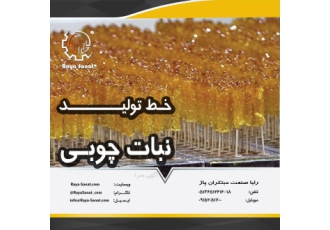 خط تولید نبات چوبی و شاخه - رایا صنعت