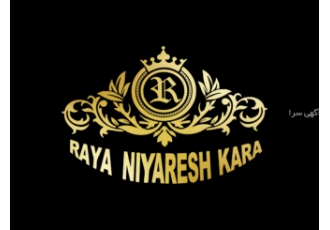 شرکت طراحی سایت اپلیکیشن دیجیتال مارکتینگ و شرکت رایا نیارش کارا