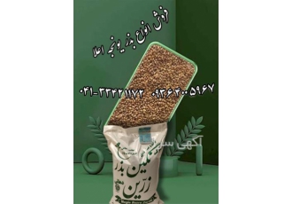 بذر قره یونجه فروش بذر یونجه پاک شده و سورت شده در گرگان با فروش بذر
