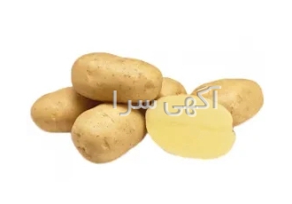 کاشت و فروش بی‌واسطه انواع سیب زمینی در همدان کشت تولید و فروش انواع