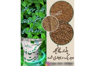 فروش عمده و خرده بذر یونجه و بذر علوفه