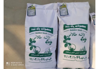 قیمت انواع بذر یونجه اصلاح شده ، فروش بذر یونجه