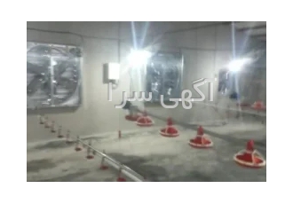خریدو فروش تجهیزات مرغداری گوشتی و تخمی