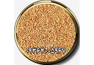 فروش بذر یونجه به تمام مناطق