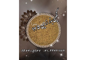 بذر یونجه بغدادی - قیمت بذر یونجه - فروش بذر یونجه