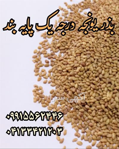 آگهی های بذر و نهال - خوی