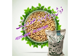 بهترین قیمت بذر یونجه درجه یک در فسا جهت اطلاع از شرایط فروش بذر یونجه