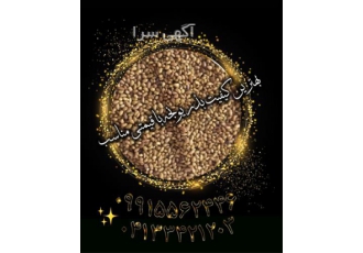 فروش بذر یونجه بدون سس و بذر شبدر