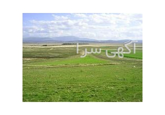 فروش زمین کشاورزی زمین 112 هکتار ملکی 6 دانگ تک برگ دارای 3 حلقه چاه آب