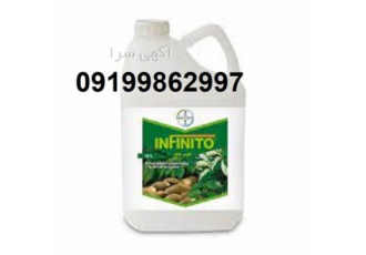 قارچ کش اینفنتیو پرتوان با درصد سمیت پایین