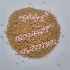 فروش بذر یونجه قیمت بذر یونجه پایه بلند در خرمدشت فروش بذر یونجه اصیل