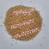 فروش بذر یونجه درجه یک قیمت بذر یونجه در زنجان شرکت نگین بذر زرین 175