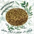 بذر یونجه بوجاری شده بذر یونجه رنجر و علوفه در هریس فروش بذر یونجه