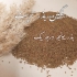 عرضه انواع بذر یونجه به سراسر کشور در ساری با فروش بذر یونجه درجه یک