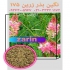 فروش بذر اسپرس خشه یونجه بذر علوفه در اصفهان با فروش بذر اسپرس درجه