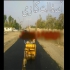پخش آسفالت و&#۱۶۰;نصب قیرگونی و ایزوگام در باغستان اجرای ایزوگام و نصب