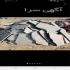 فروش سنگ مالون فروش سنگ ورقه ای اجرای سنگ در آمل فروش سنگ ورقه ای انواع
