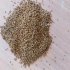 بذر یونجه درجه یک در ایلخچی فروش بذر علوفه یونجه درجه یک با قیمت توافقی