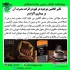 فروش قهوه های گانودرما دکتر بیز اصل در گرمدره ☕✨ گانودرما نام یک قارچ