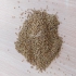 بذر یونجه درجه یک در ایلخچی فروش بذر علوفه یونجه درجه یک با قیمت توافقی
