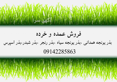 فروش بذر سیاه یونجه قره یونجه در سقز بذر قره یونجه یکی از ارقام اصیل