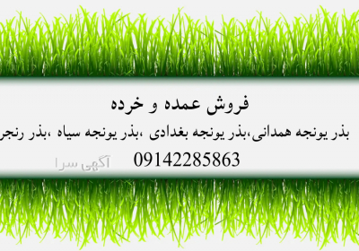 فروش بذر یونجه بغدادی در کرمانشاه بذر یونجه بغدادی چندین سال قبل