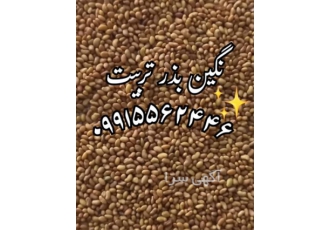 فروش بذر یونجه و فروش بذر علوفه به تمام نقاط در خاوران تولید و فروش بذر