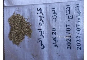 خرید و فروش تخم گشنیز ، پودر سیر ، رازیانه