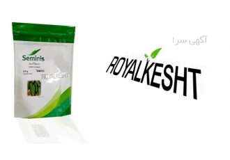 خیار رویال ۲n در تهران نام برند سیمینس سمینس نام بذر و رقم خیار هیبرید