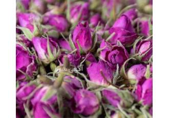 قیمت غنچه گل محمدی ؛ پخش غنچه گل