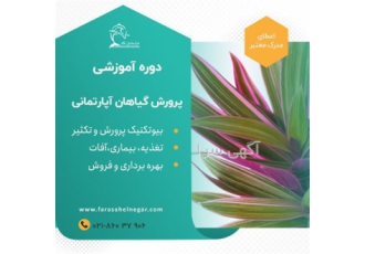 تولید و پرورش گیاهان آپارتمانی ثروت ساز در تهران تولید و پرورش گیاهان