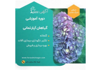 دوره آموزشی پرورش گیاهان آپارتمانی هرس تکثیر در تهران دوره آموزشی
