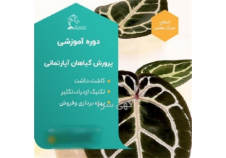 دوره آموزشی پرورش و تکثیر گیاهان آپارتمانی خانگی در تهران ما در این
