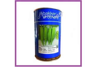 فروش بذر بامیه OKRA بیکر در اصفهان بذر بامیه بیکر این رقم از بذر زودرس