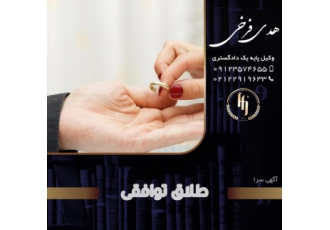 بهترین وکیل پایه یک دادگستری تهران|وکیل خوب در دولت