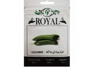 بذر خیار رویال محصول شرکت سمینیس در همدان بذر خیار رویال سمینیس بوته