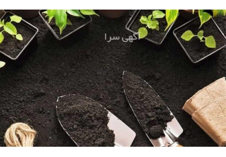 خاک آپارتمانی بسته بندی شده در تهران خاک آپارتمانی بسته بندی شده خاک