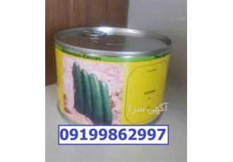 فروش بذر خیار سورینا پرفروش اصل