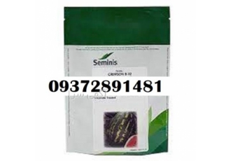 بذر هندوانه 32 b قیمت عالی