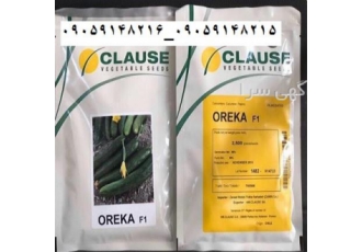 فروش بذر خیار گلخانه ای و بذر خیار فضای باز اورکا