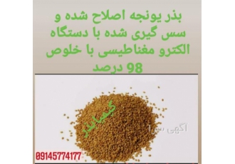 فروش بذر یونجه با قیمت مناسب